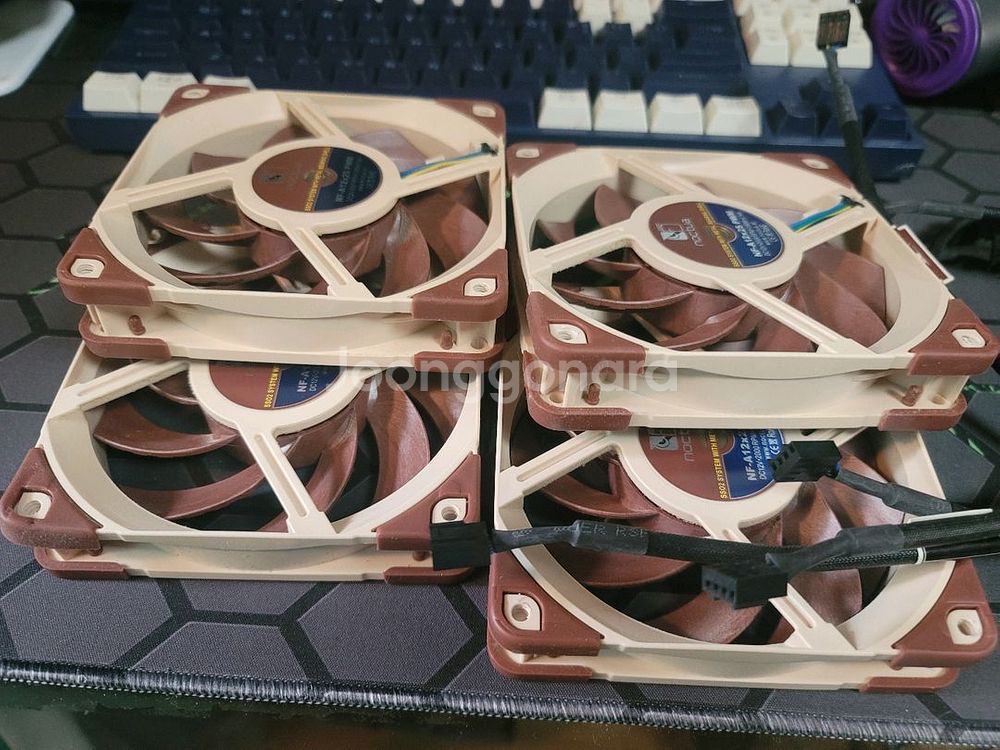 NOCTUA NF-A12x25 PWM 녹투아--2