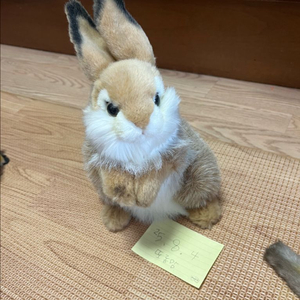한사토이 토끼 인형