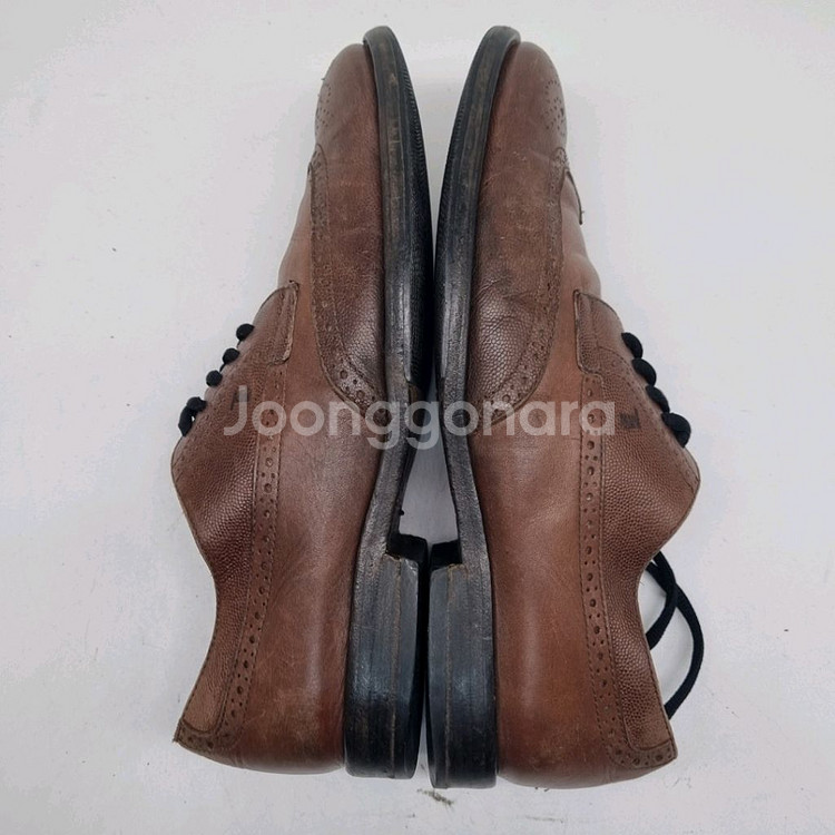 토즈 남성윙팁구두7 260--4