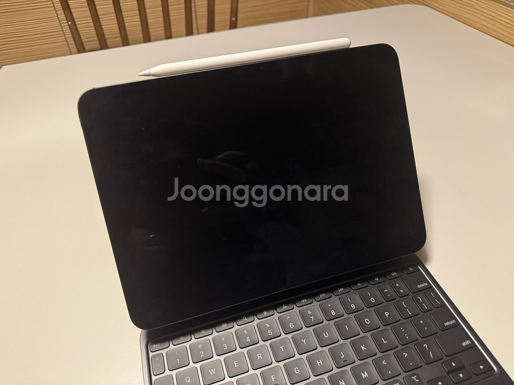 아이패드 프로 11 M4 256 셀룰러 애케플--1