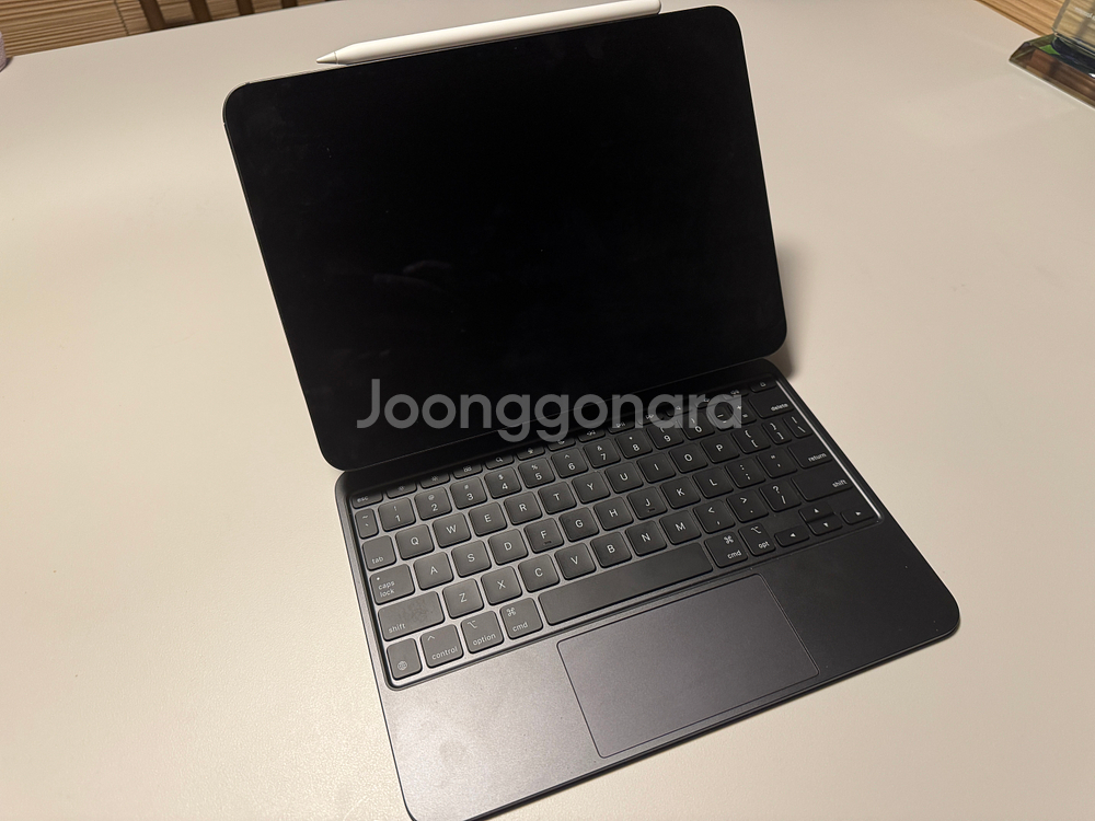 아이패드 프로 11 M4 256 셀룰러 애케플--0