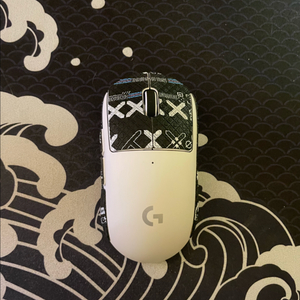 로지텍 G Pro X Superlight2 (지슈라2)