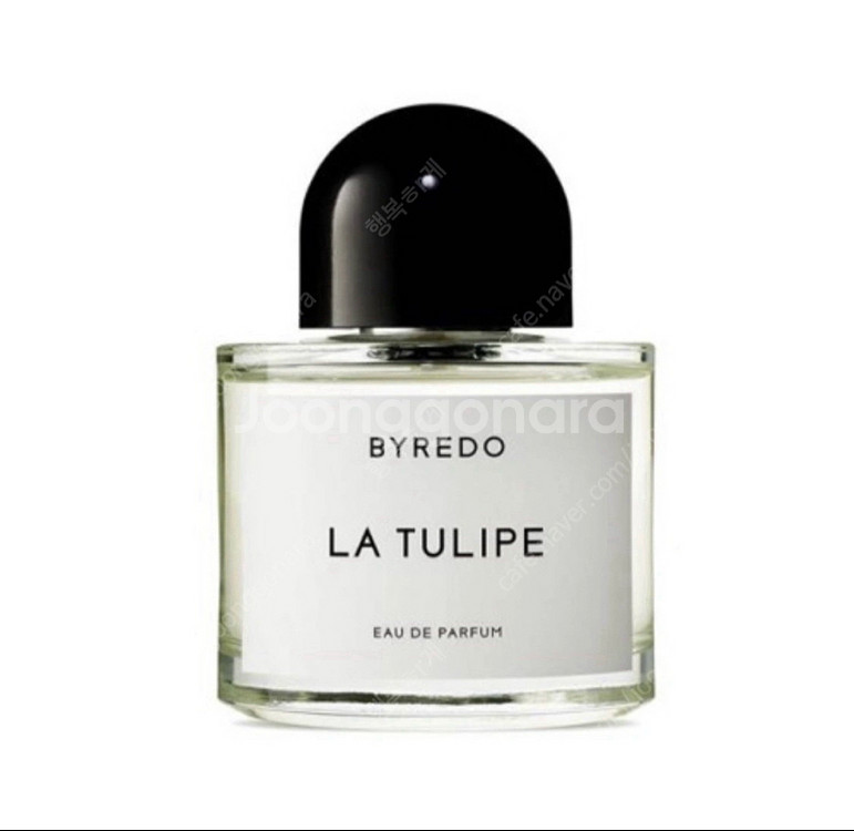 (미개봉) 바이레도 블랑쉬 100ml,집시워터,라튤립,--1