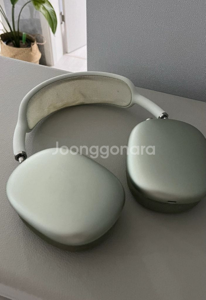 애플 에어팟맥스 그린--0