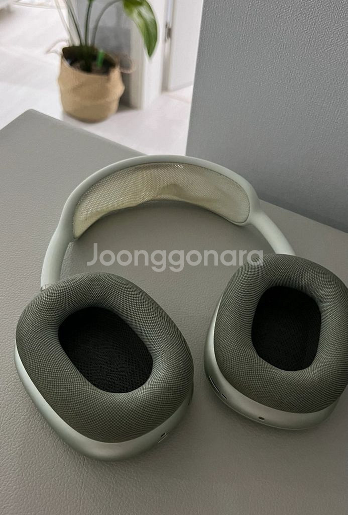 애플 에어팟맥스 그린--1