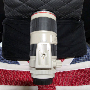 케논새아빠백통