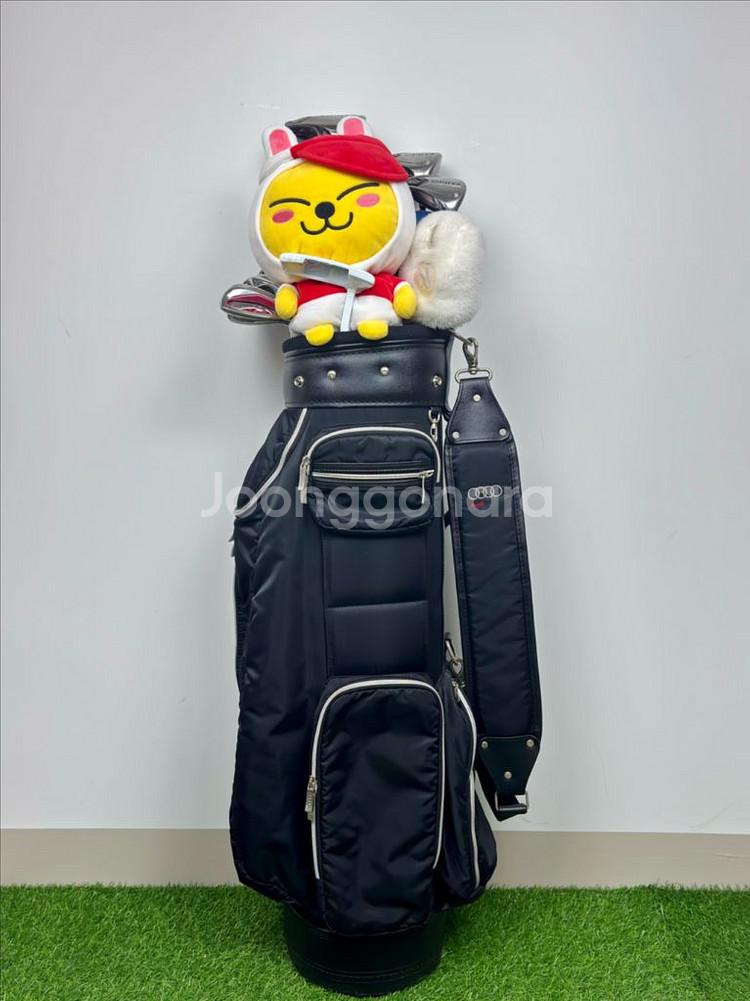 브리지스톤 파이즈, VIQ 여성 중고 골프채 풀세트--8