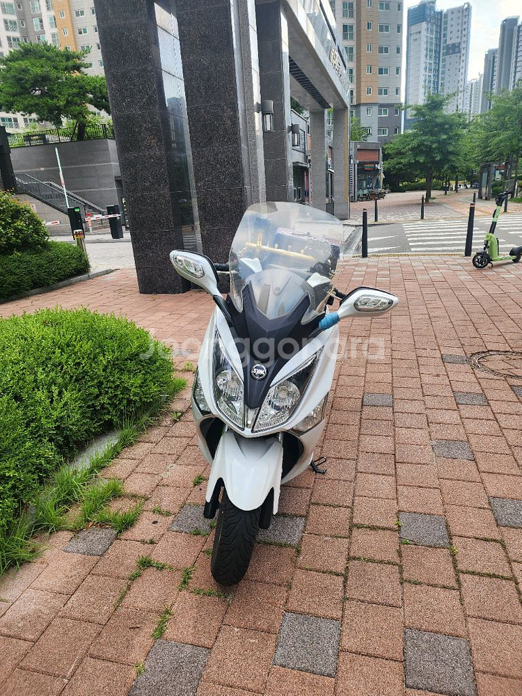 조이맥스 125--6