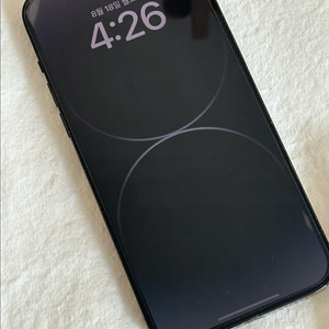 아이폰 14 Pro max 프로맥스 스페이스 블랙 12