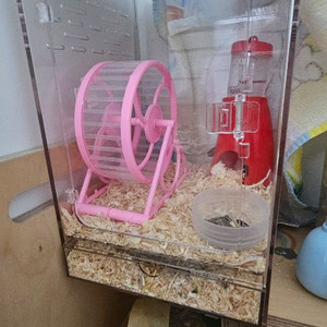 햄스터 쳇바퀴