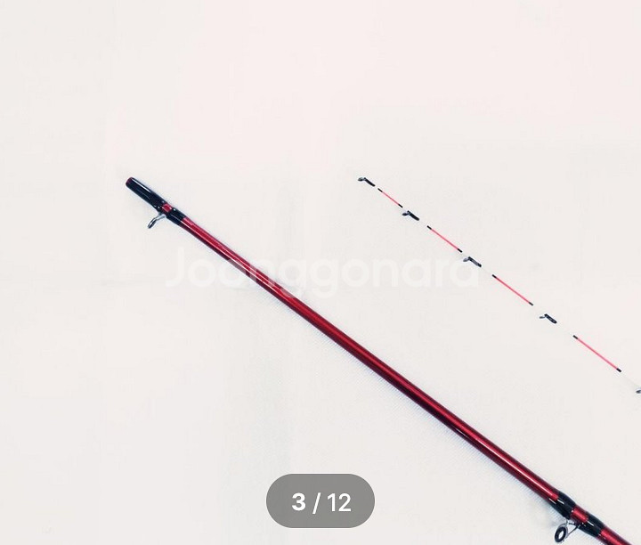 한치,화살촉오징어,내만갈치,호레기,볼락대+2000번릴--2