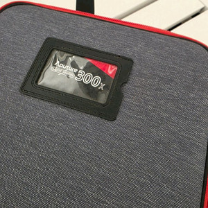 Aputure Light Storm 300x 팝니다.