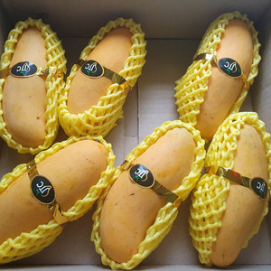 수원 갤탭a9 플러스 삽니다