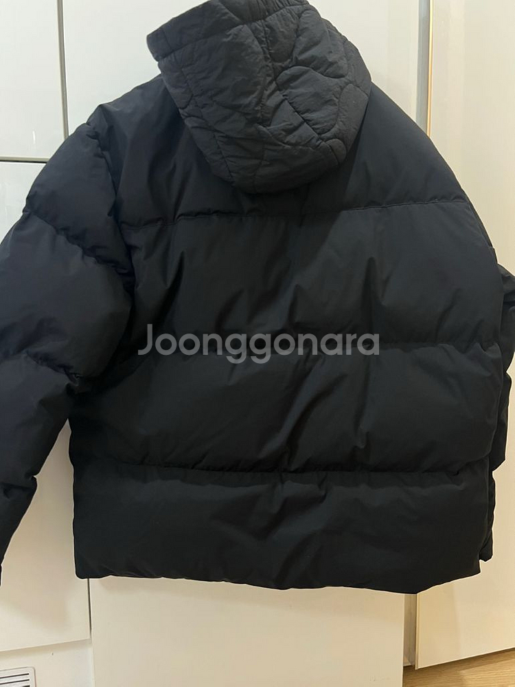 24fw 라코스테 구스다운패딩 (새상품급)--1