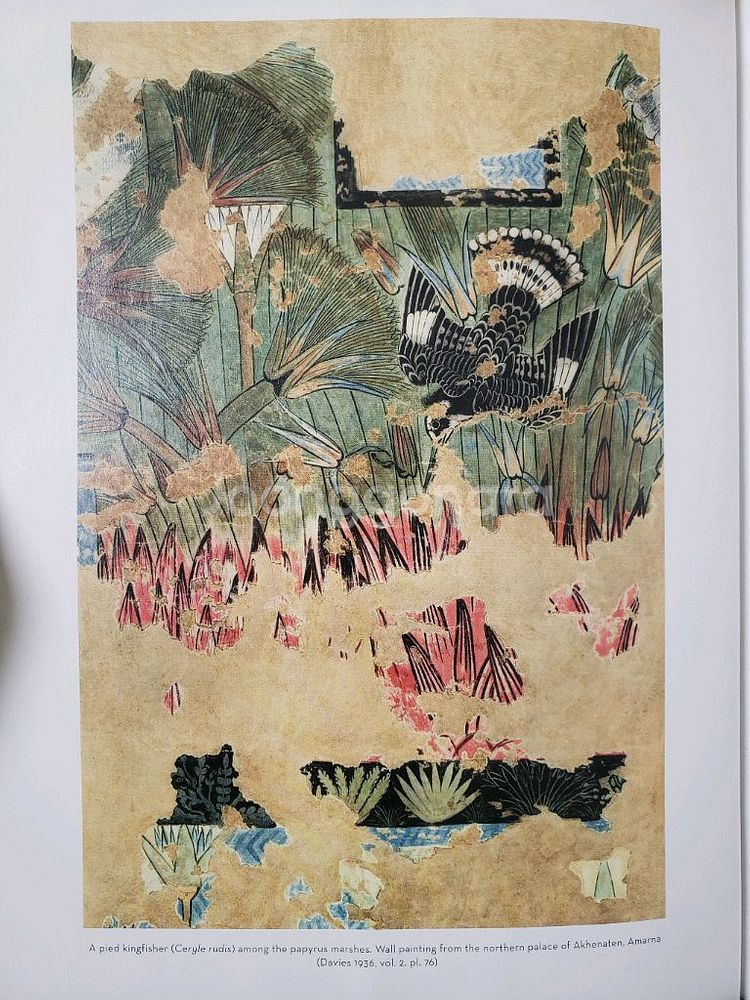 아트.고고학.예술. 고대 이집트의 새에 대한 미술사학적--3