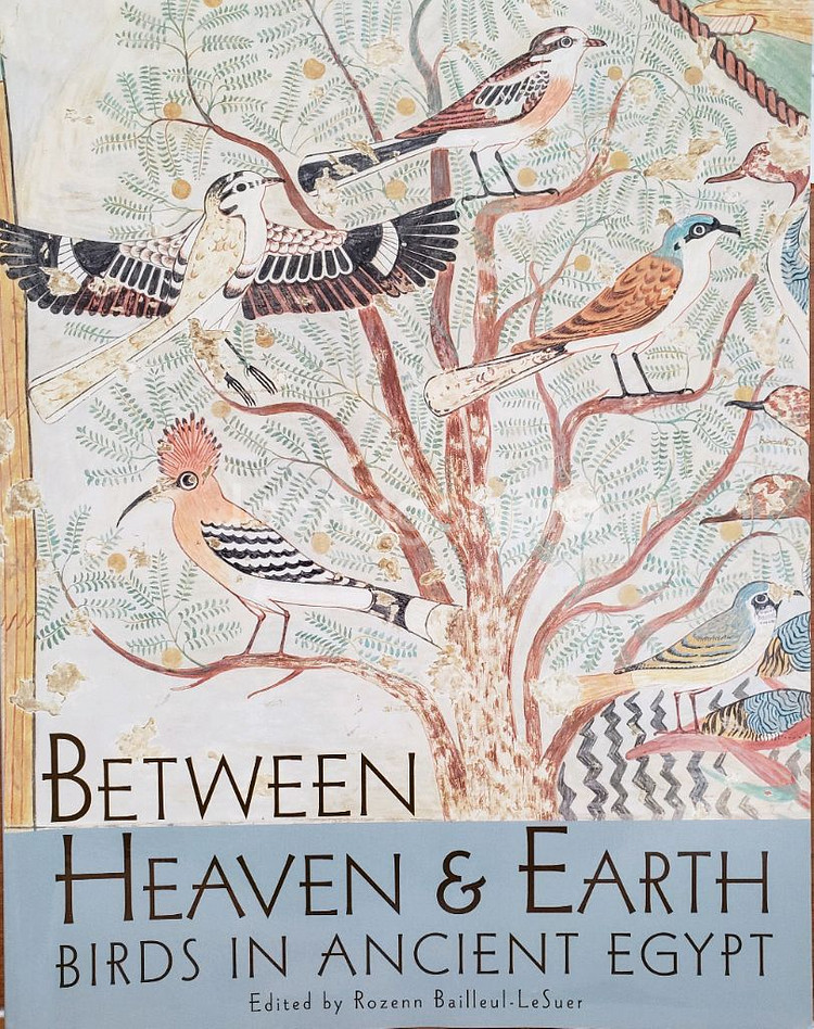 아트.고고학.예술. 고대 이집트의 새에 대한 미술사학적--0