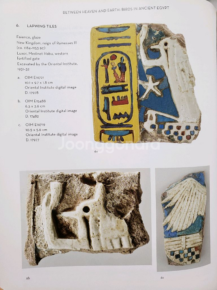 아트.고고학.예술. 고대 이집트의 새에 대한 미술사학적--7