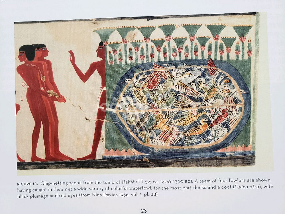 아트.고고학.예술. 고대 이집트의 새에 대한 미술사학적--6