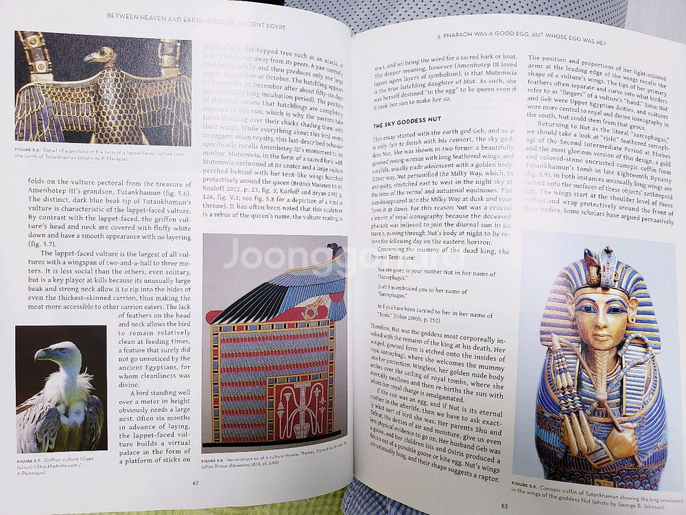 아트.고고학.예술. 고대 이집트의 새에 대한 미술사학적--8