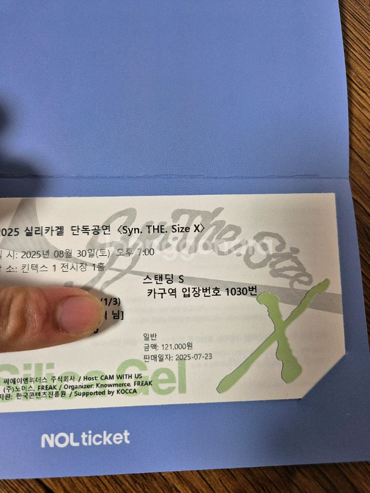 실리카겔 콘서트 티켓--0