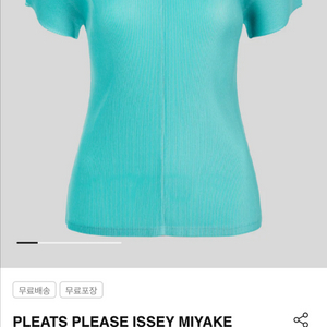 이세이미야케 플리츠플리즈 미스트