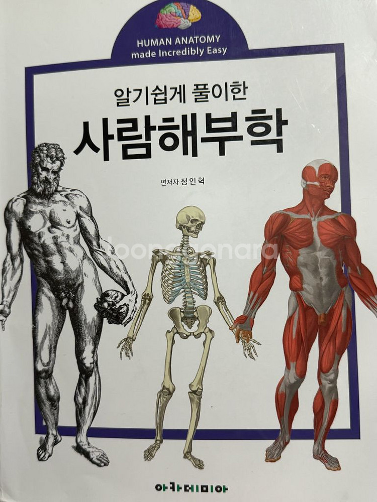 해부학 아카데미아--0