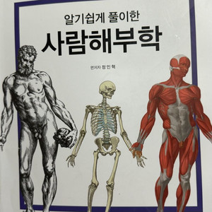 해부학 아카데미아