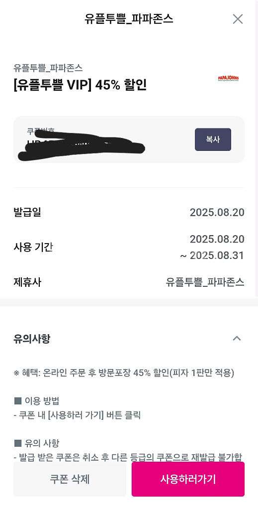 파파존스 방문포장 45퍼--0