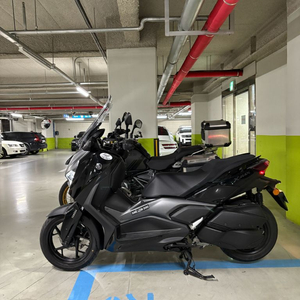 xmax 300 25년식 판매합니다 (개인)