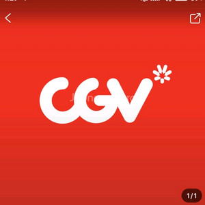 cgv 애매권
