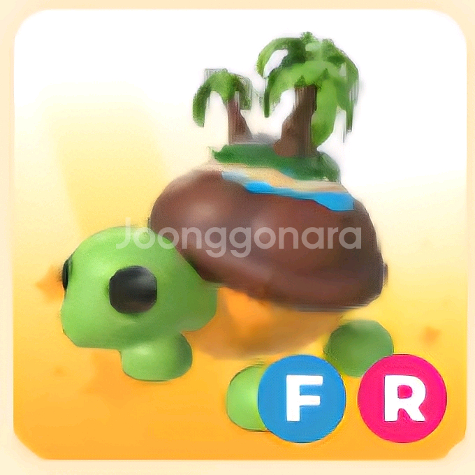 입양하세요 FR 섬거북이--0