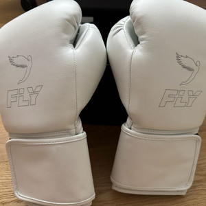 FLY 플라이 복싱 글러브 14oz 화이트