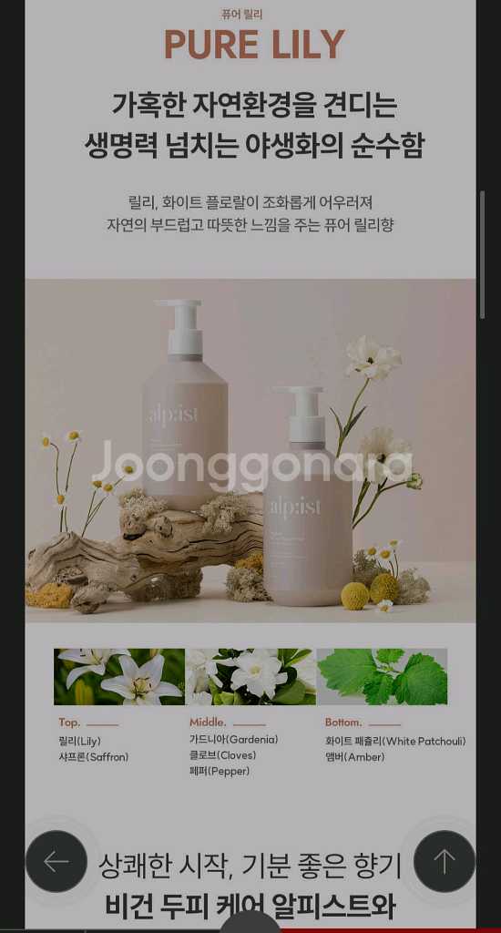 새거 애경알피스트 트리트먼트 퓨어릴리 730ml 샴푸--6