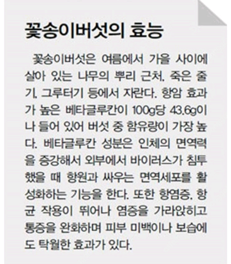 자연산 꽃송이버섯 이미지