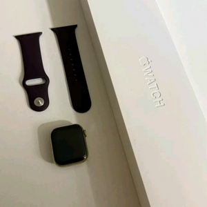 애플워치 7 골드 41mm 스테인리스 (애케플9/19)