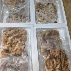 자연산 손질 백고동 (오늘만)