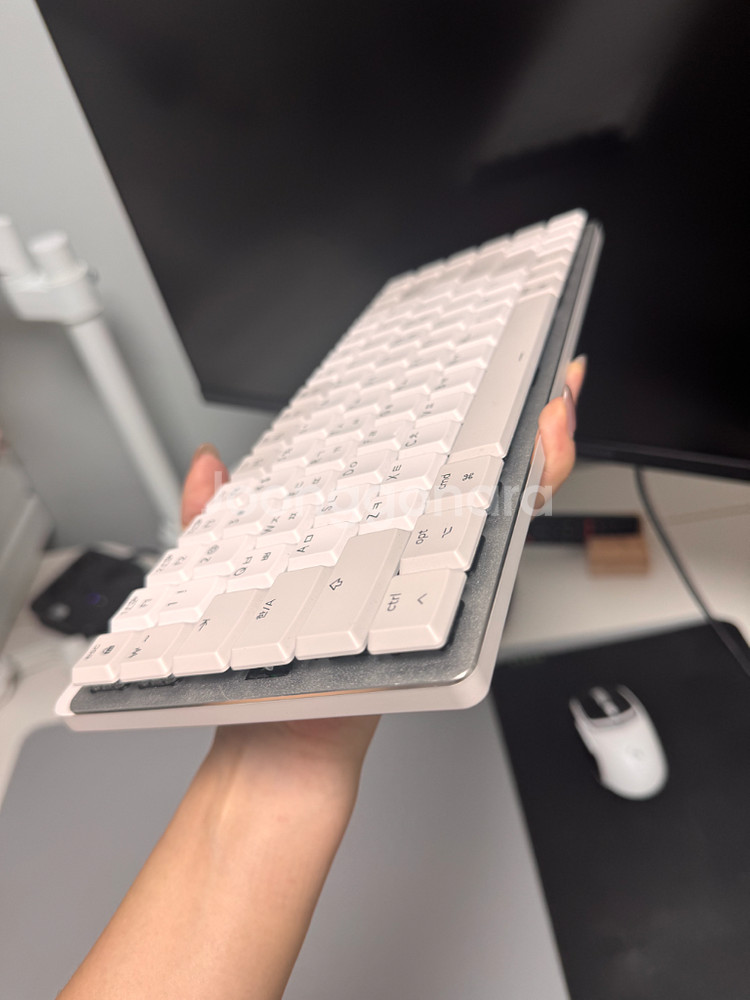 로지텍 MX MECHANICAL MINI FOR MAC--3
