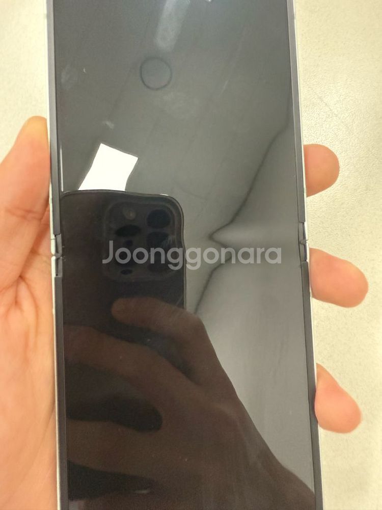 플립6 256GB 민트색상--0