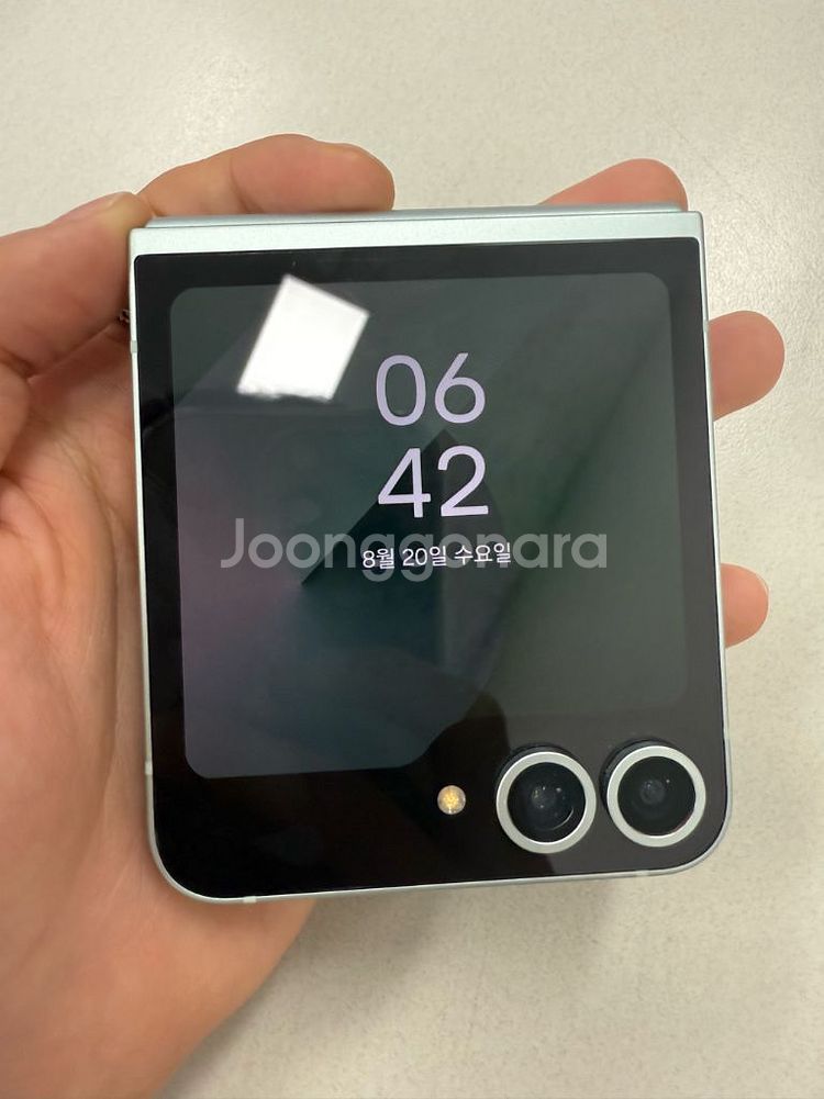 플립6 256GB 민트색상--1