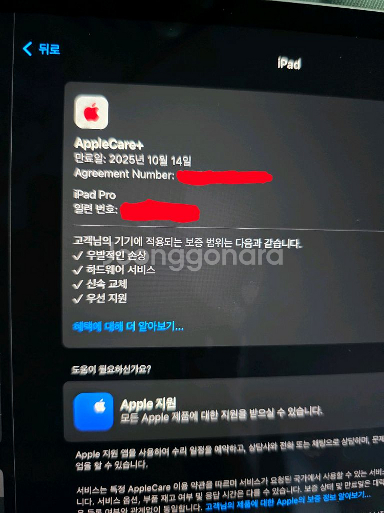 아이패드 프로 11인치 4세대 m2 실버 256 셀룰러--5