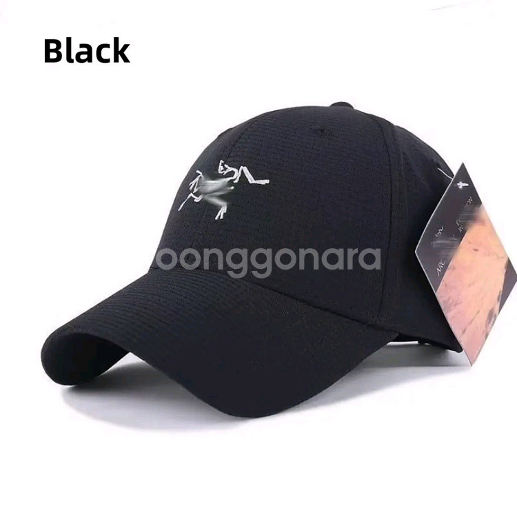 모자--1