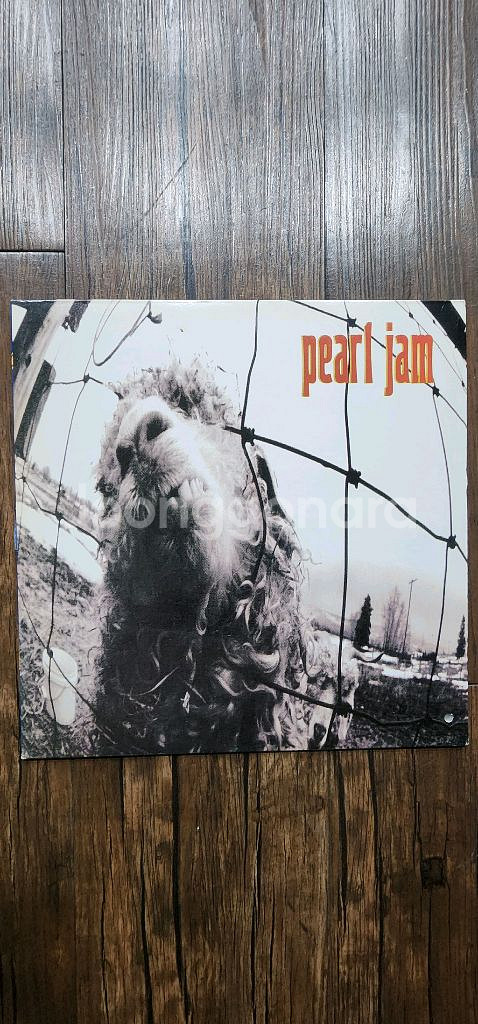Pearl Jam. 민트--0