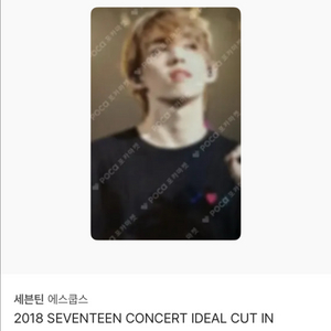 쿱스 포카