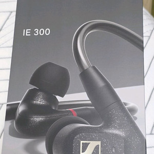 젠하이저 ie300 + ifi go link DAC