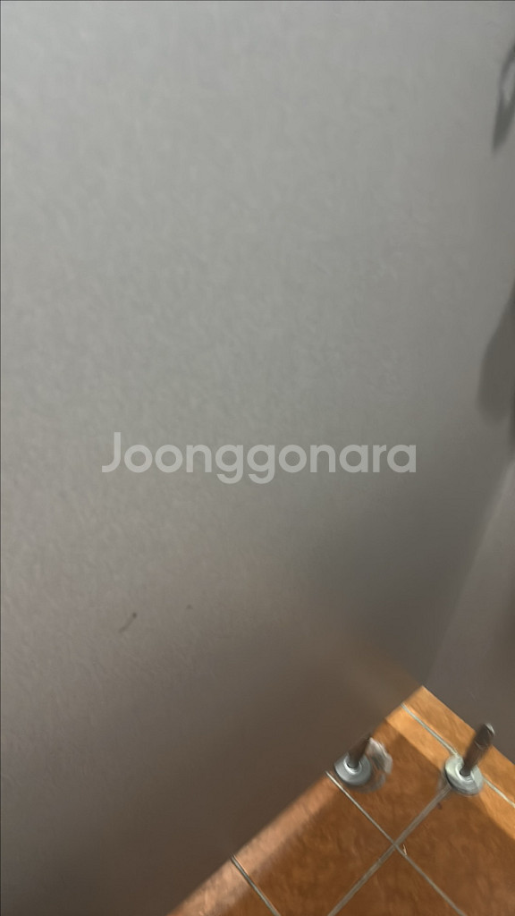 정조대 삽니다 소추용--0