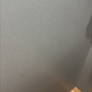 정조대 삽니다 소추용
