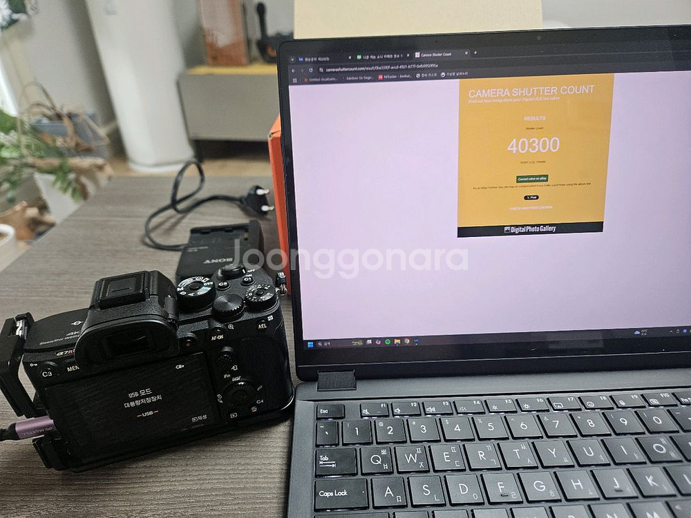SONY A7R4a, 40300컷--8