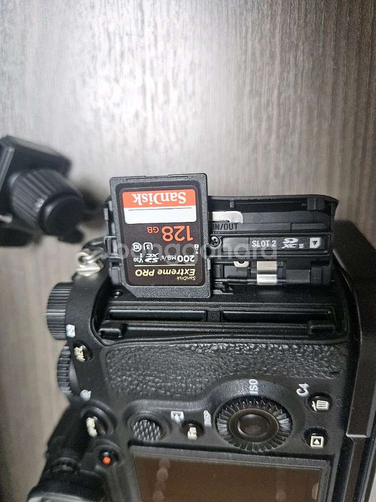 SONY A7R4a, 40300컷--6