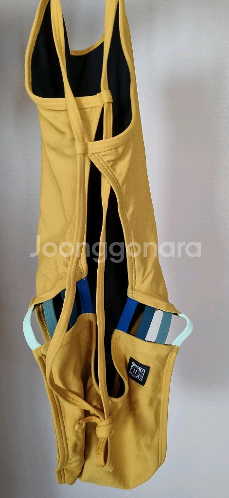 졸린 개빈 머스타드 30 멕시코산--1
