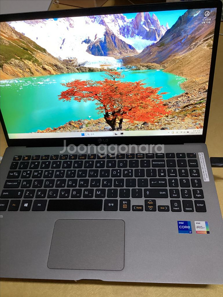 LG그램i7-1165G7 15Z95N-GP7JL--0